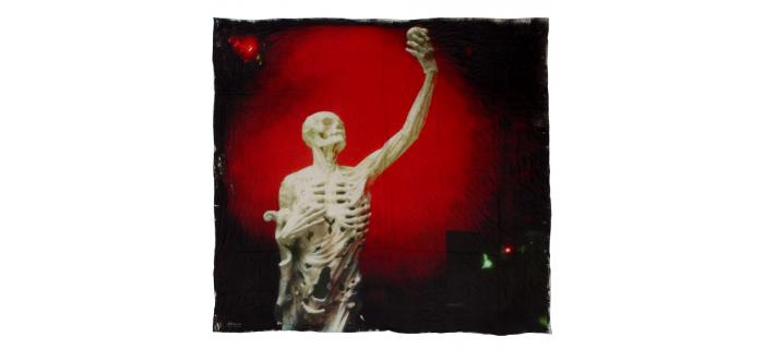 New Shawl Vanitas What Else Cotton