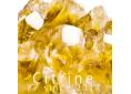 Citrine, Eau de Parfum 100ml