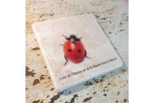 Marble Square Inspiration Ladybird