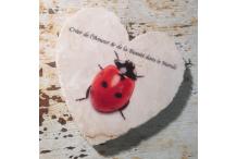 Marble Heart Inspiration Ladybird